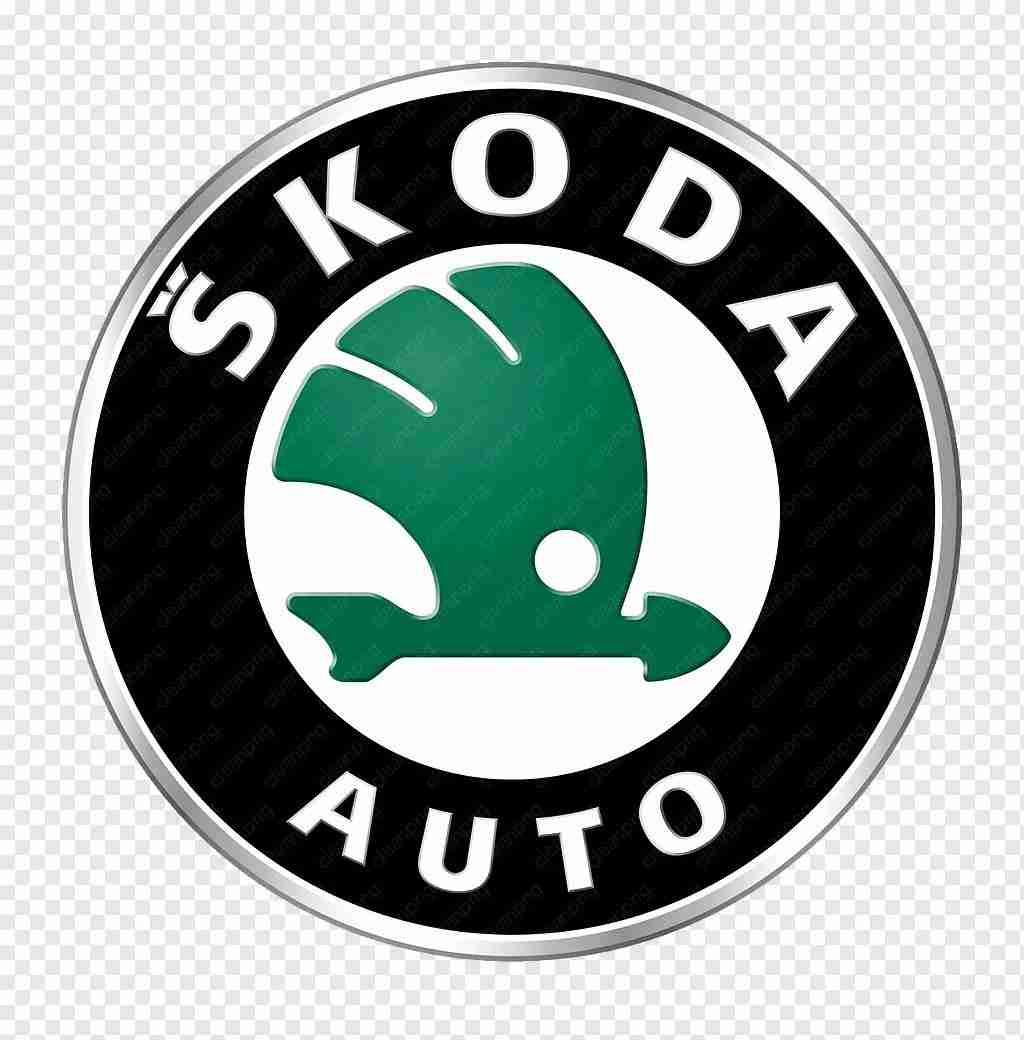 Иное Skoda Fabia 140125-013